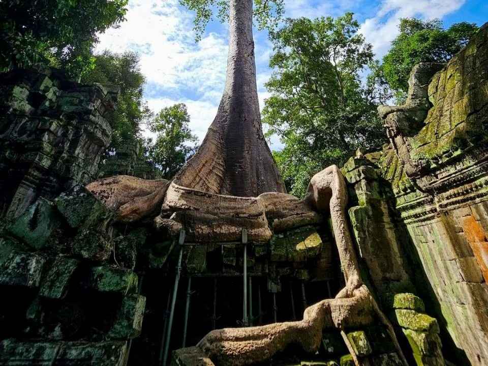 taprohmtemple